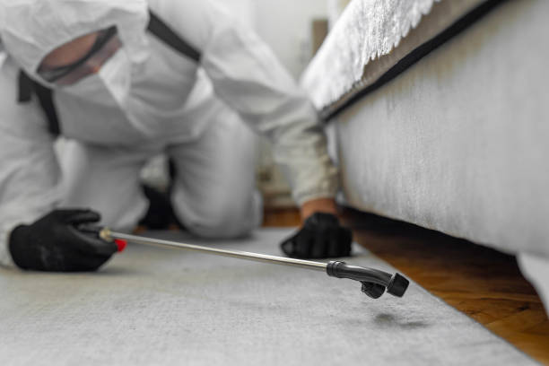 Professional Termite Control technician working in Mohave Valley, AZ